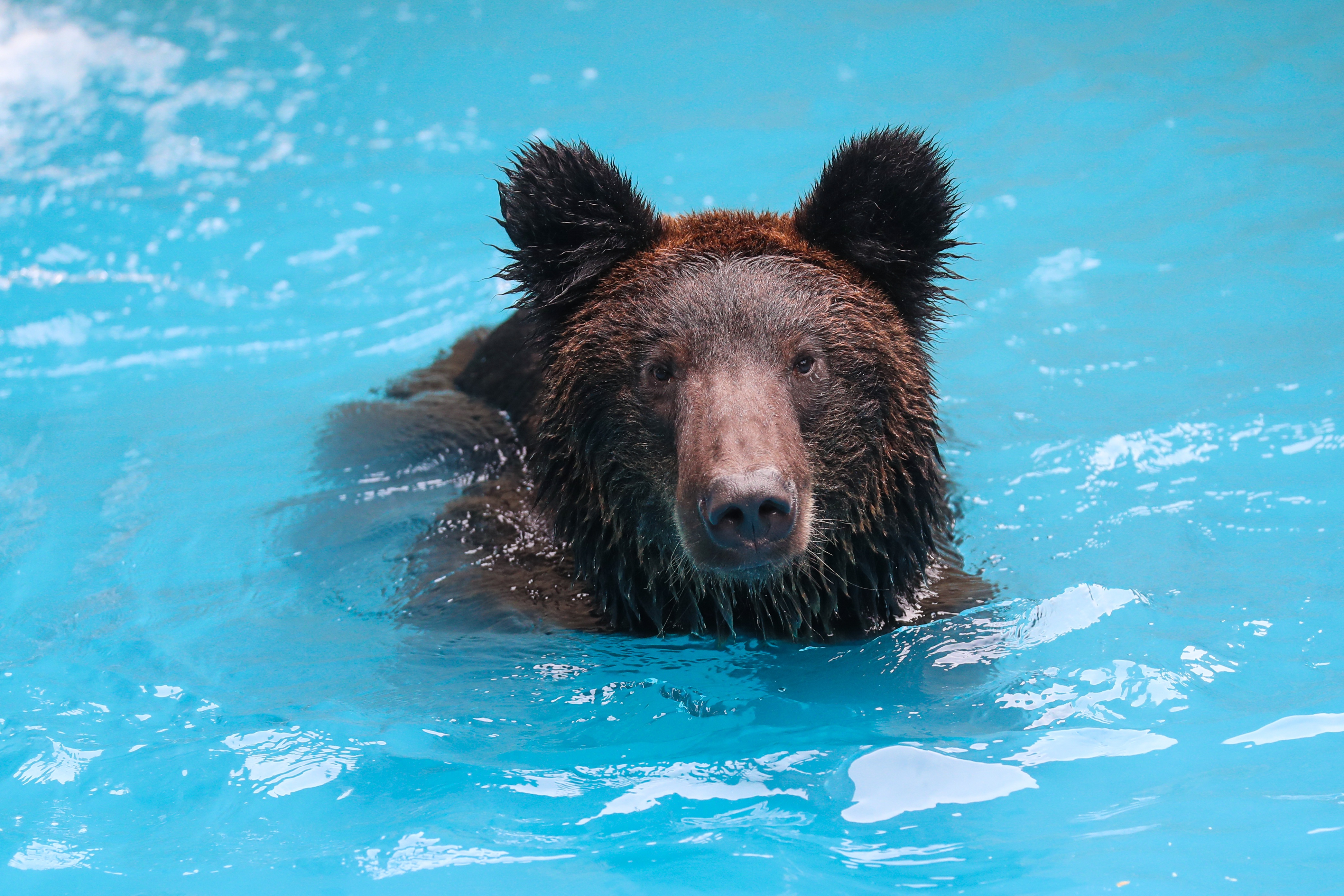 100元一次去他家的真实体验与实用攻略指南