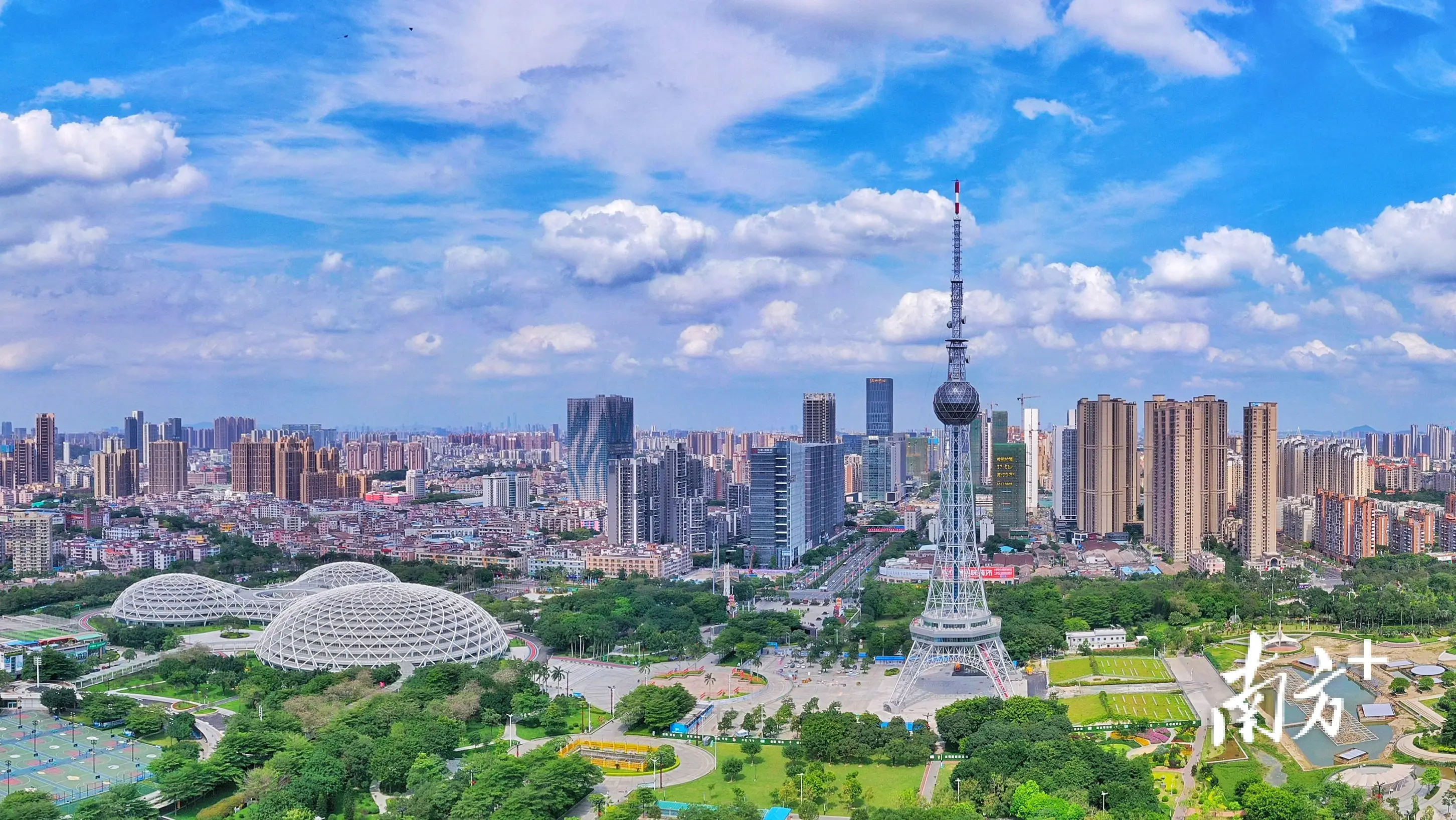 广佛预约茶微信号2021深度解析,从运营模式到用户体验的全面观察