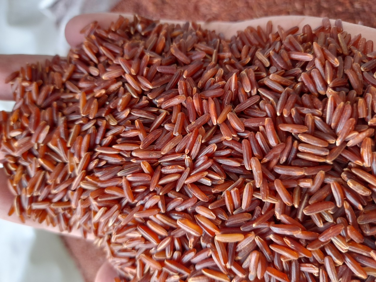 红米5值得买吗 红米5手机全面评测