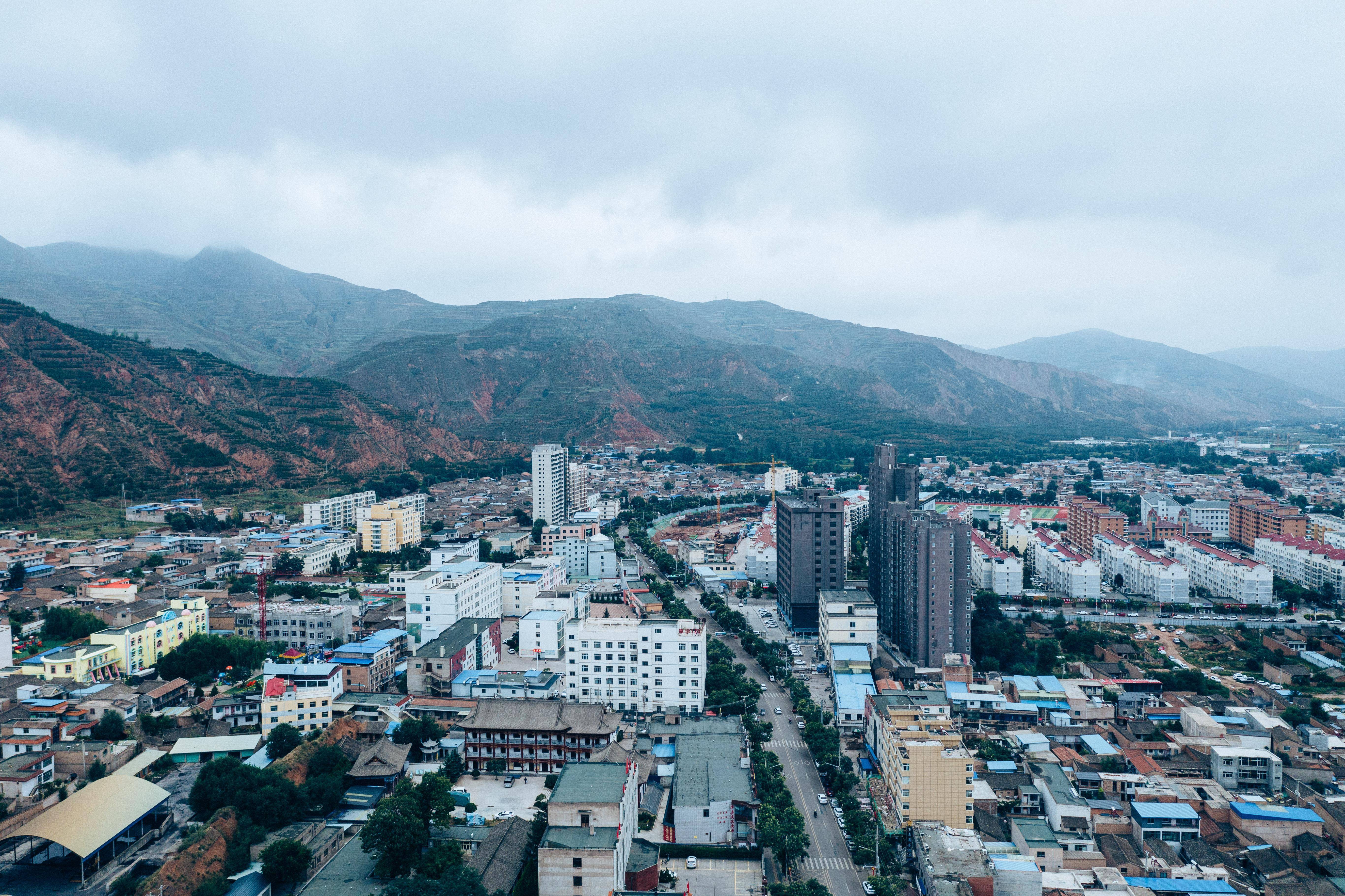 定西喝茶上课资源