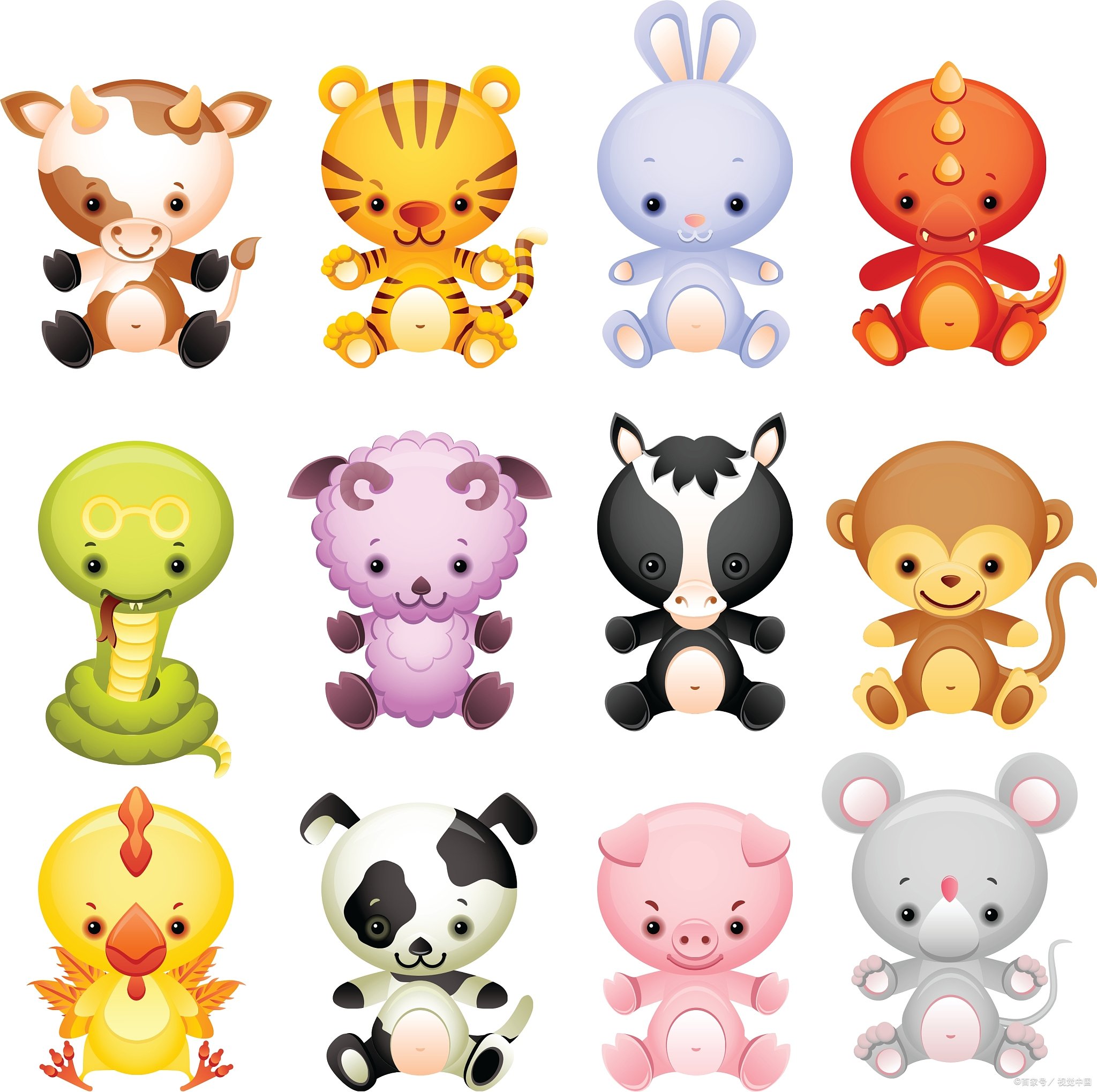 2025年生肖属相与重要信息综合解读 马陆镇包装城小妹在哪里 2025年实地走访及防坑攻略