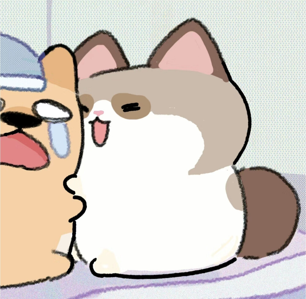 专访:女孩小圈中圈大圈是什么意思,具体指的是什么社交圈层