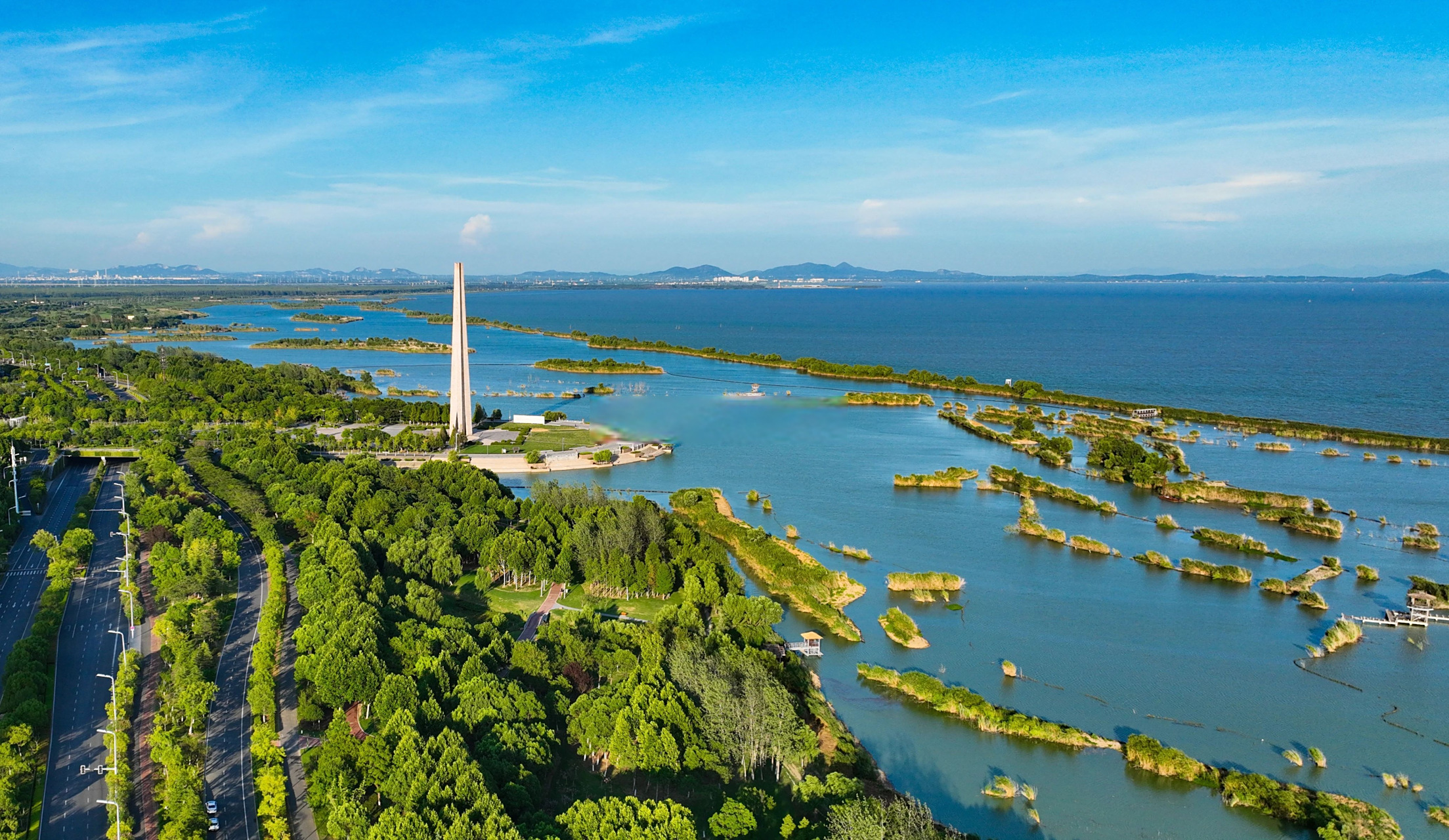 合肥包河区野鸡分布调查揭秘高密度区域与生态特征
