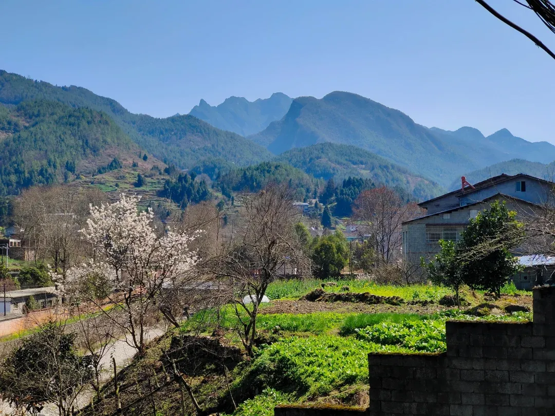 万源什么渠道能约到学生