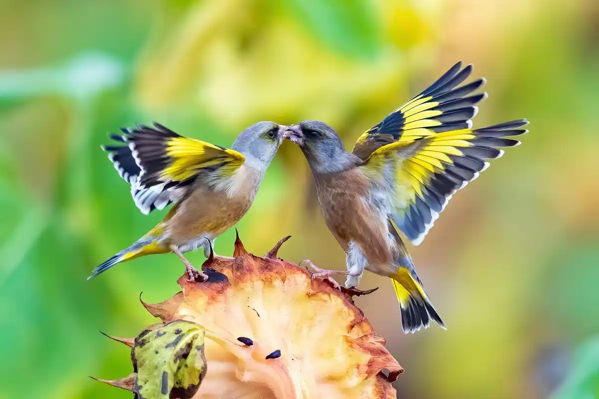 晨间热闻：杭州楼凤大全 真实评测与安全指南🔥