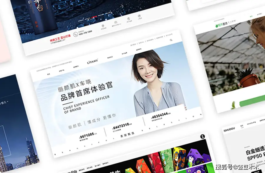 四川凤楼阁论坛官网，探寻巴蜀文化新地标，数字时代传统的全新交流平台