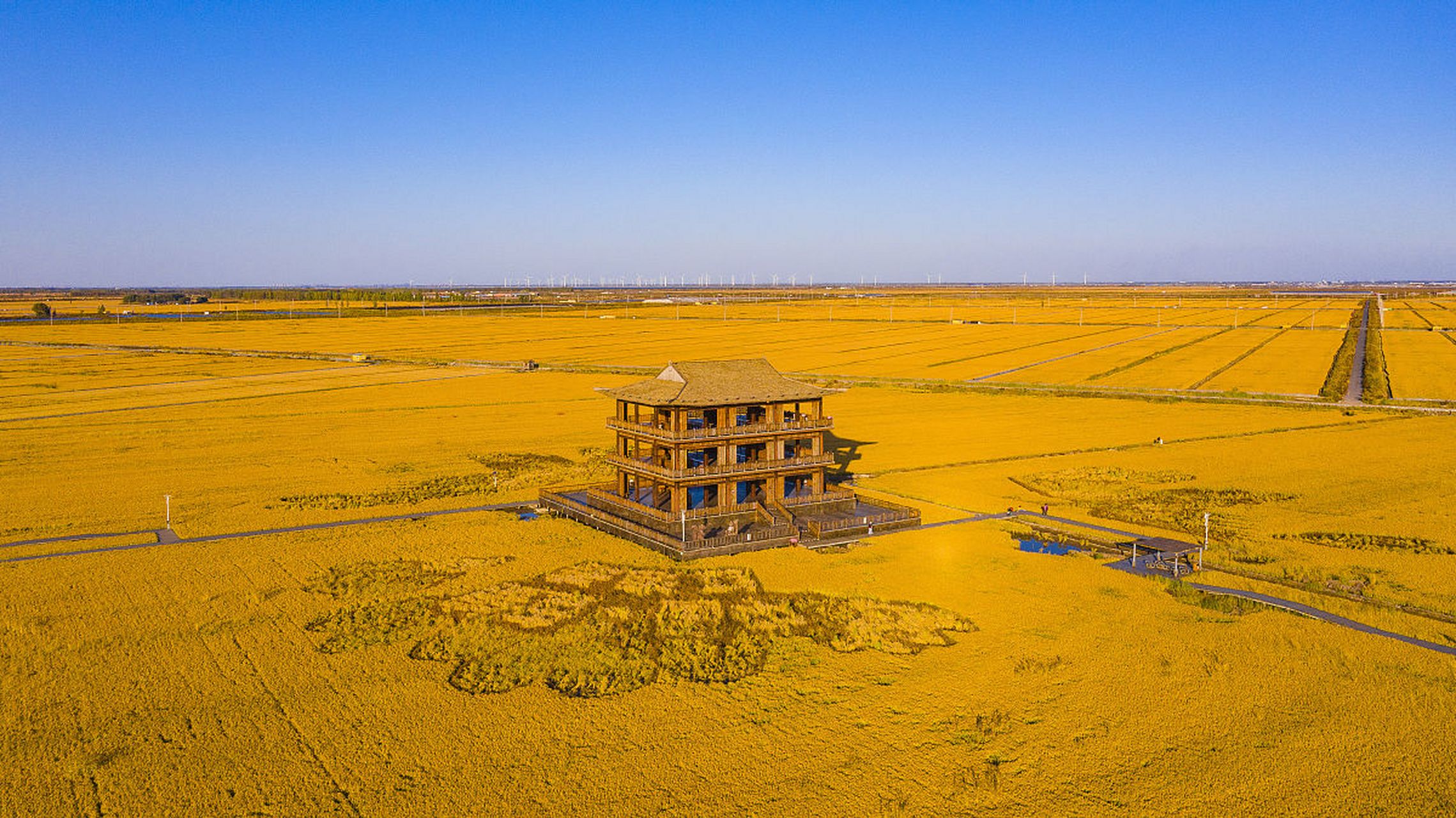 盘锦美团怎么找接活的女生