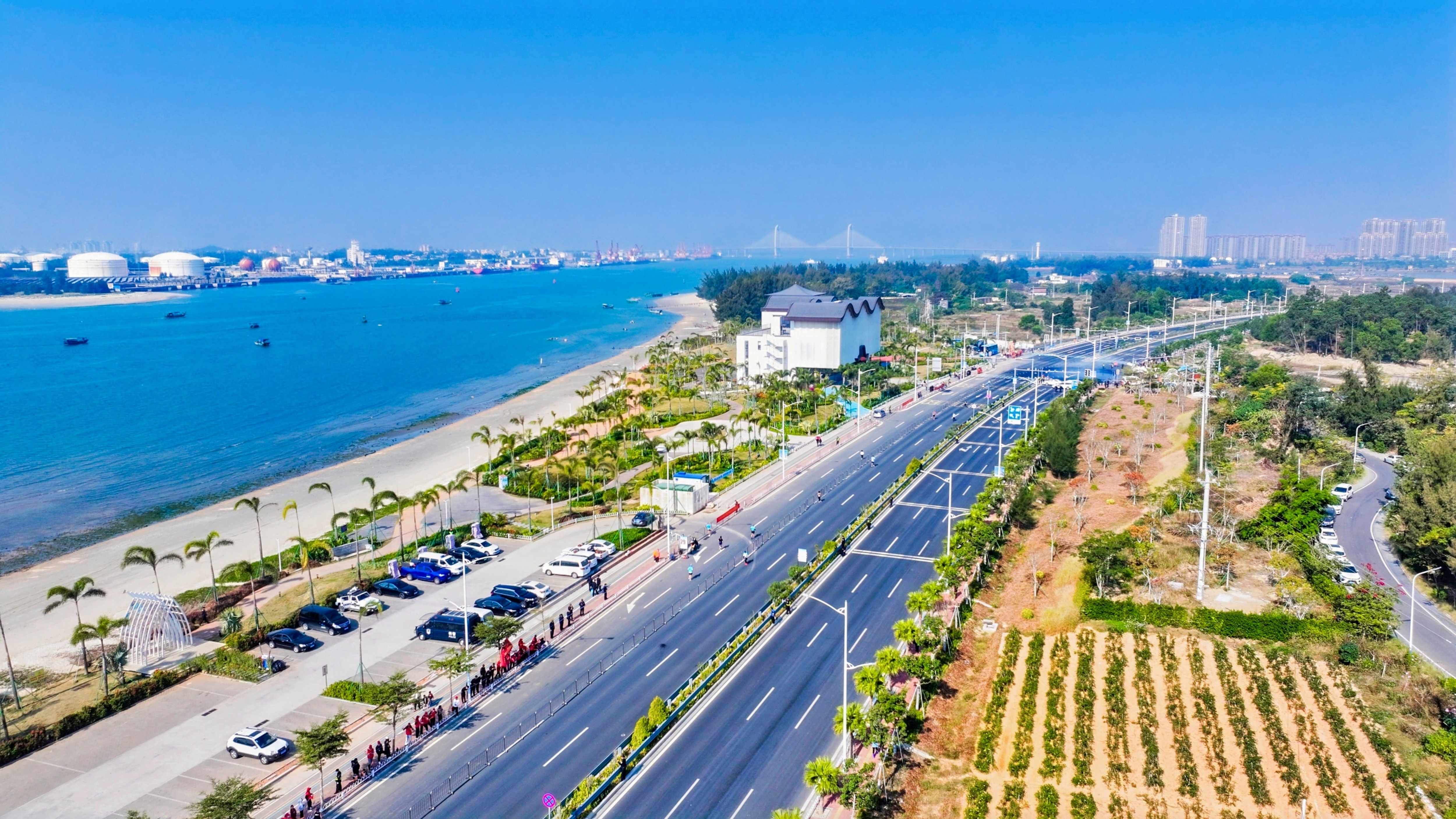 最新数据揭示茂名哪里有爱情？真实社交场景与避坑指南全解析