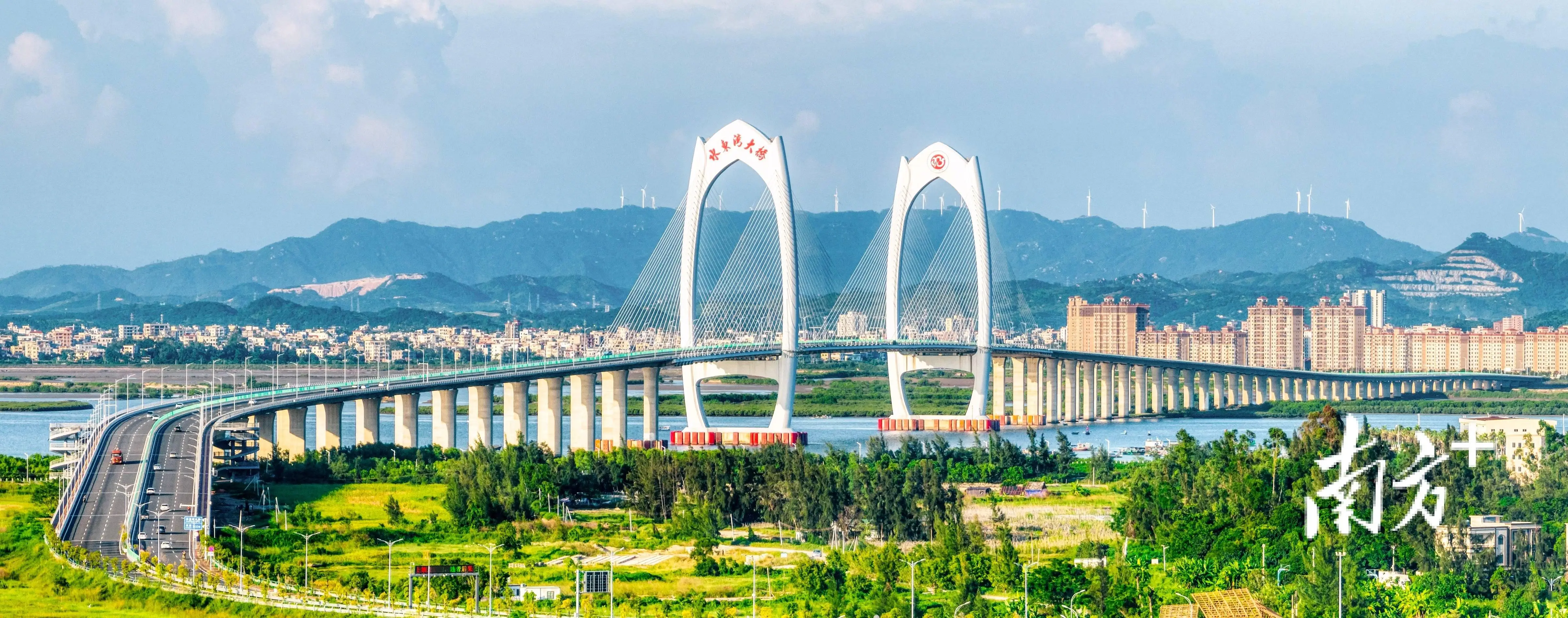 最新数据表明，茂名哪里有爱情？真实社交场景与避坑指南