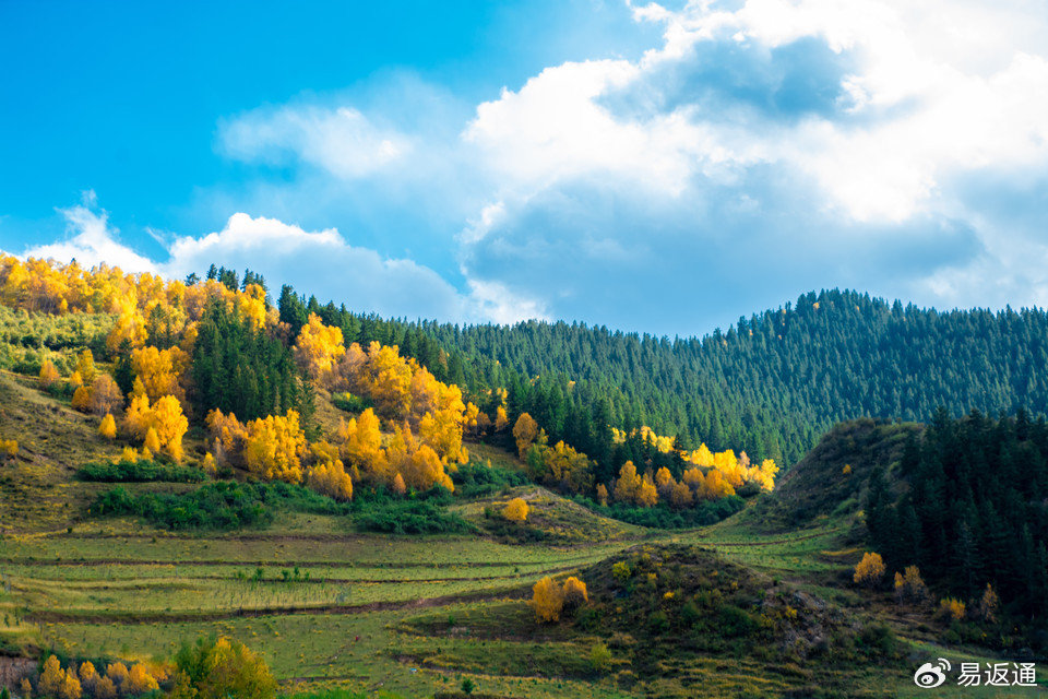 海东网上预约高端模特