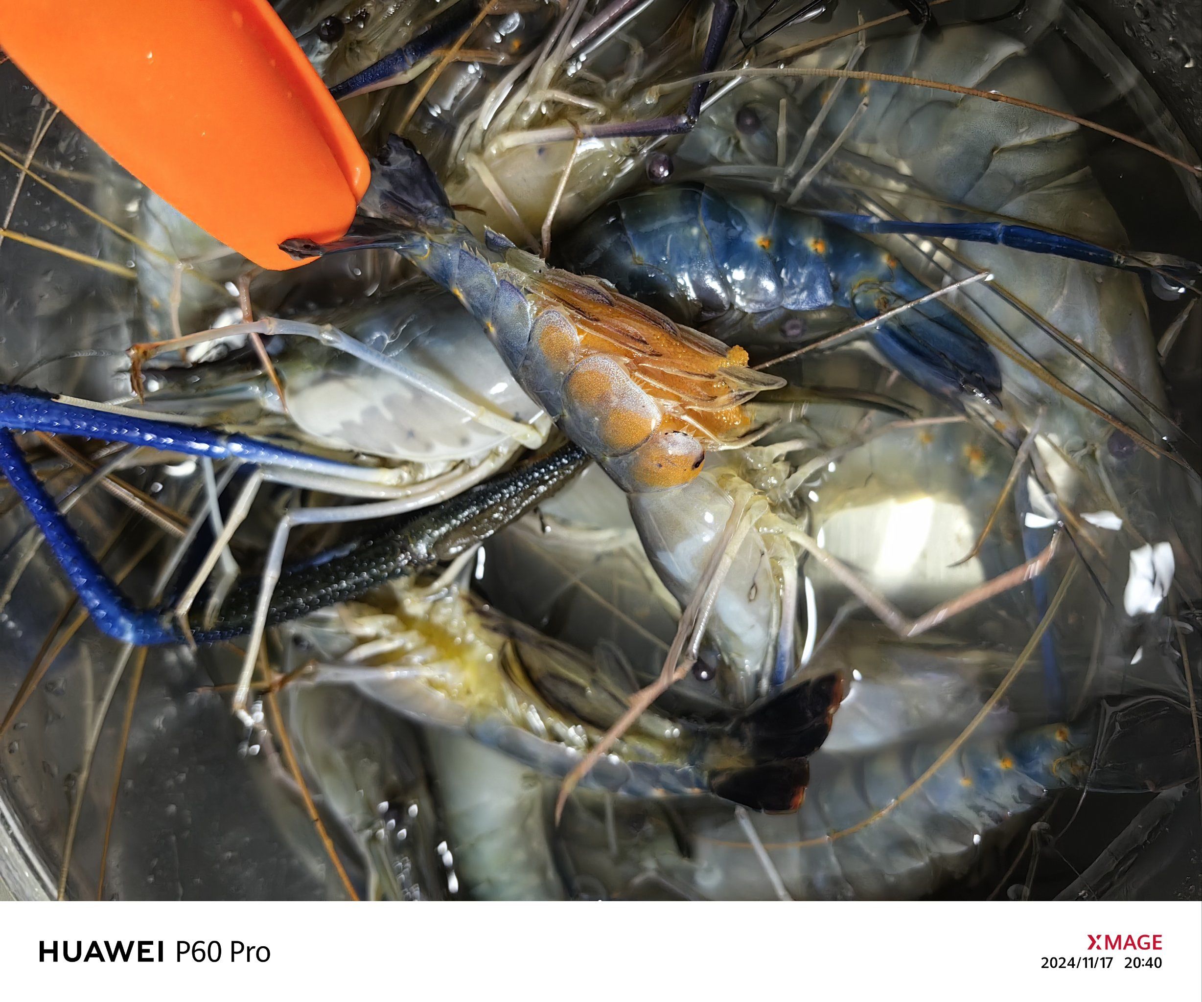 如何规避莞式服务消费陷阱?_全流程合规指南省30%预算