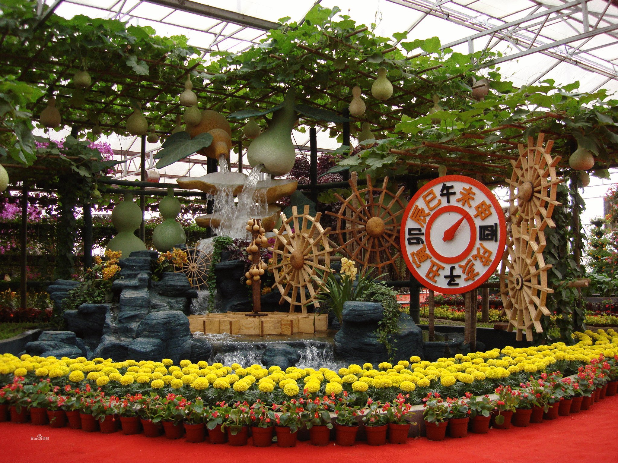 寿光如何在一个城市找到服务