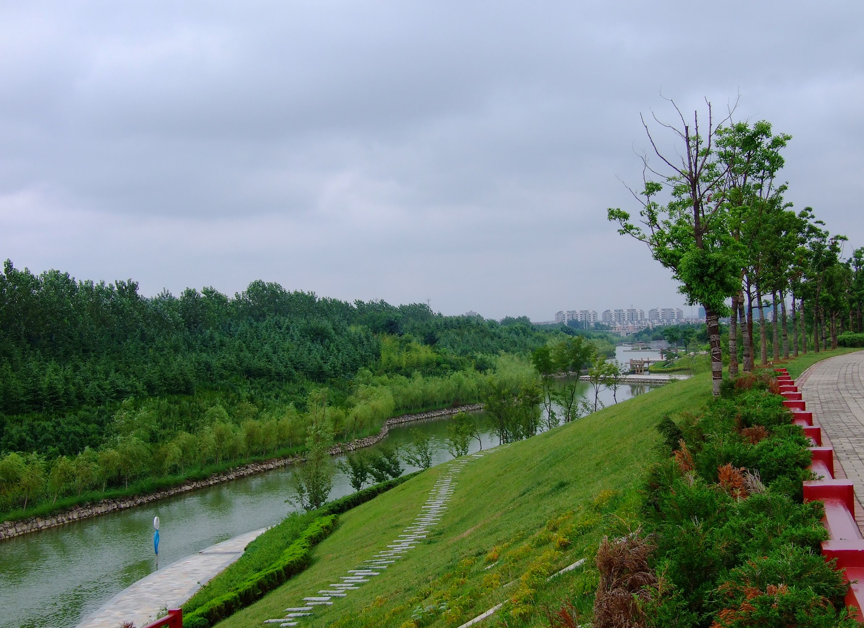 广佛深莞高端茶到底贵在哪里？