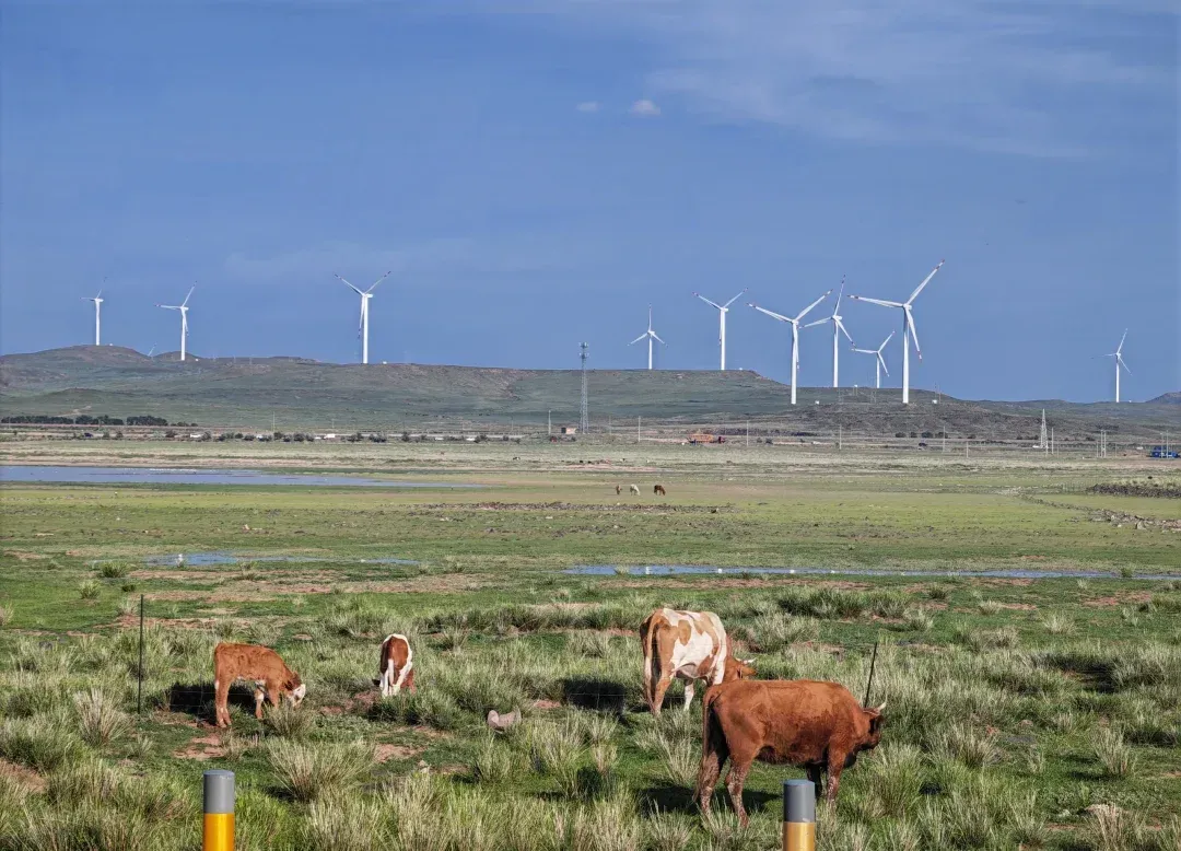 乌兰察布上门服务500三个小时可信不