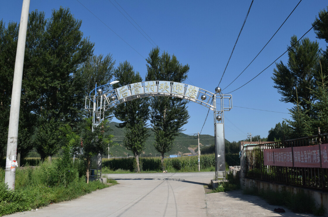 专访报道:安阳后营个人服务有哪些?2025年实地测评与避坑全攻略