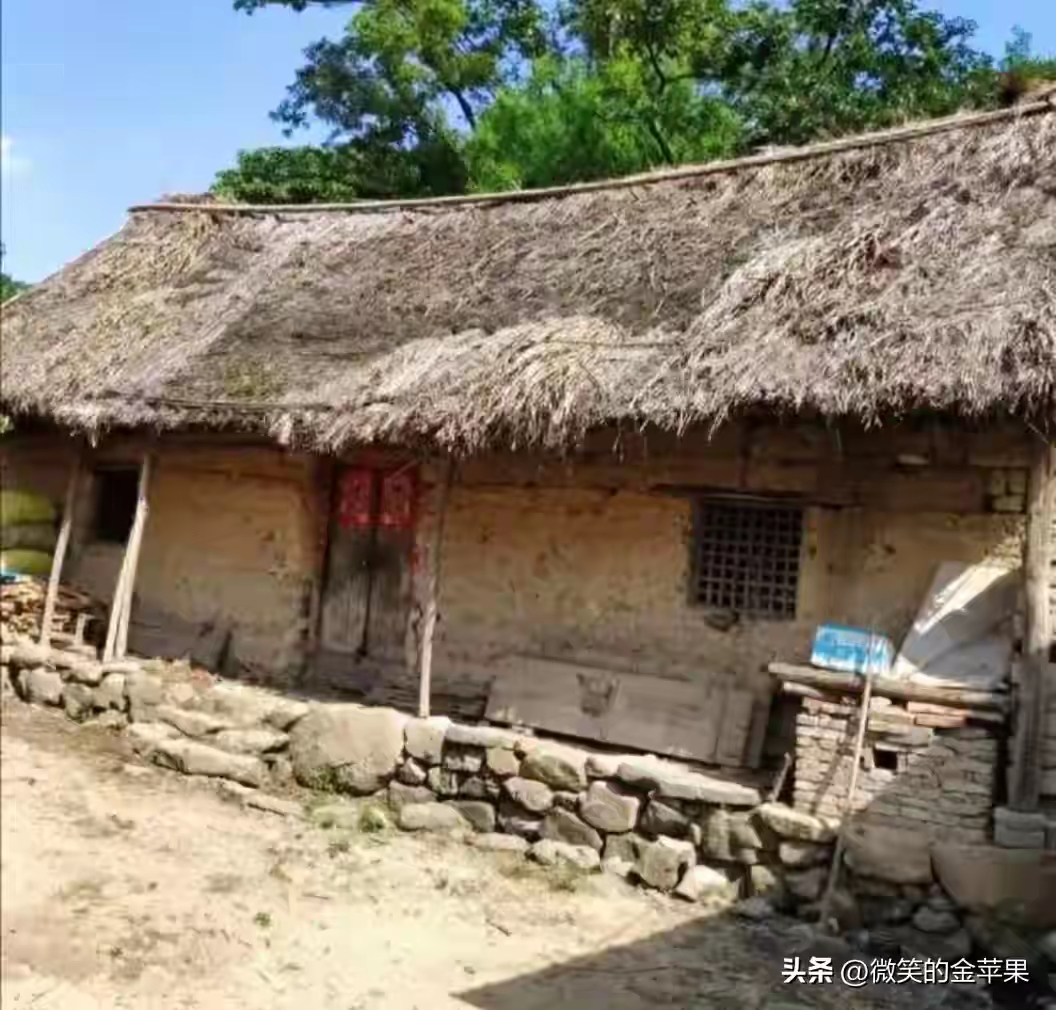 50米内的鸡窝,如何打造高效生态养殖圈