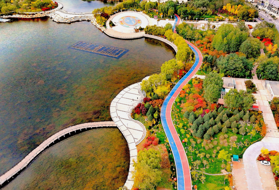 情况尚未明确:金昌汽车站附近的巷子藏着什么?探索老城区的隐秘角落