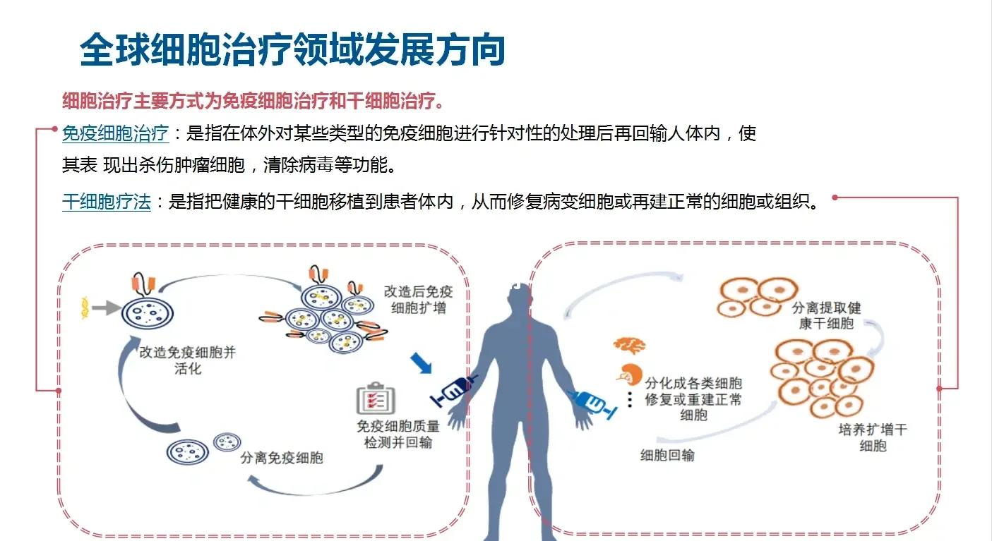 搜索引擎营销的成功案例搜索引擎营销如何玩转推广