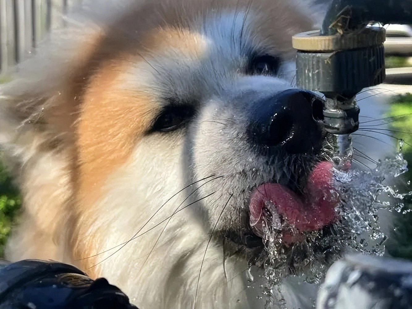 鞍山学生喝茶兼职