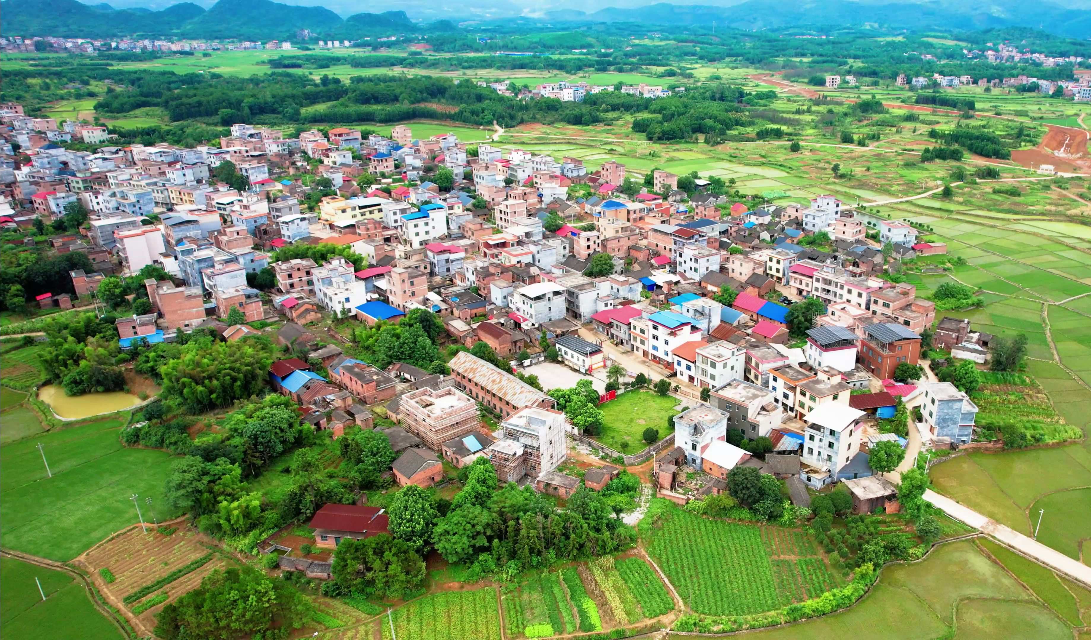 紧急播报:惠阳新圩约场小巷子|实测避坑指南与详细探索