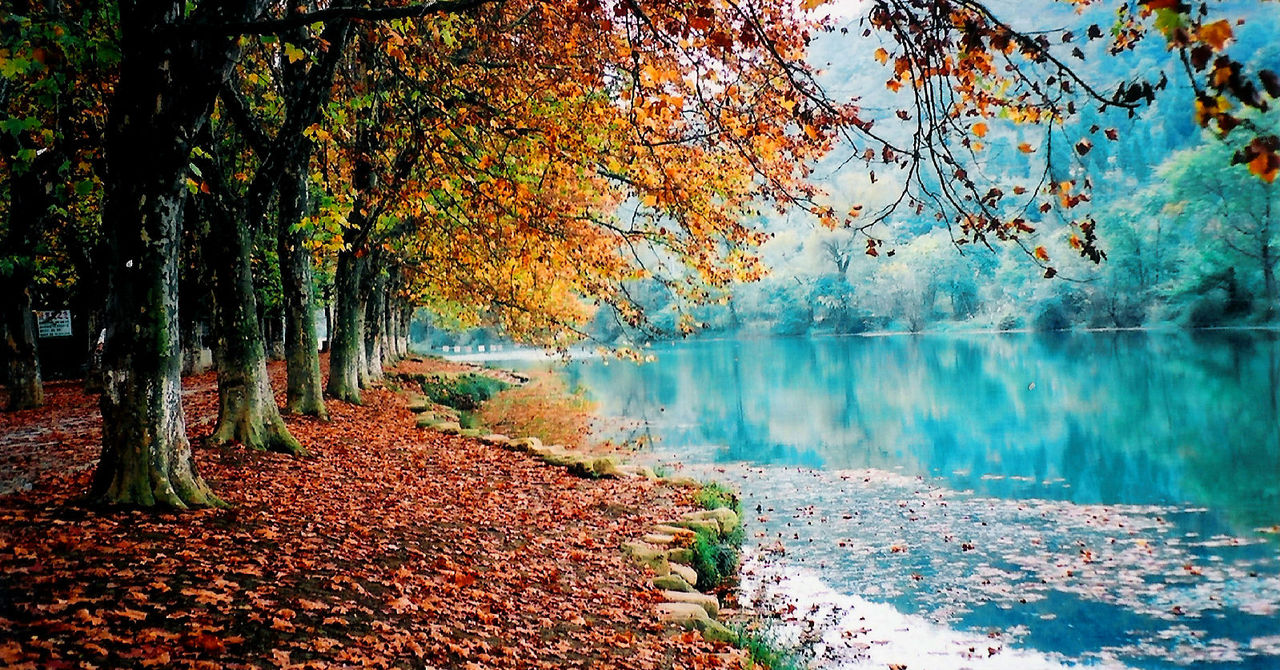 热点追踪：贵阳花溪大学城服务到底哪里更靠谱一点