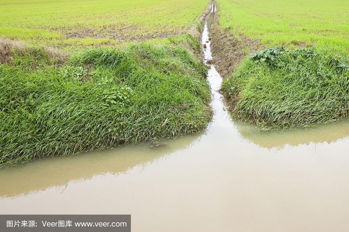 野水沟夜间生态调查：站街人群生存实录与空间博弈