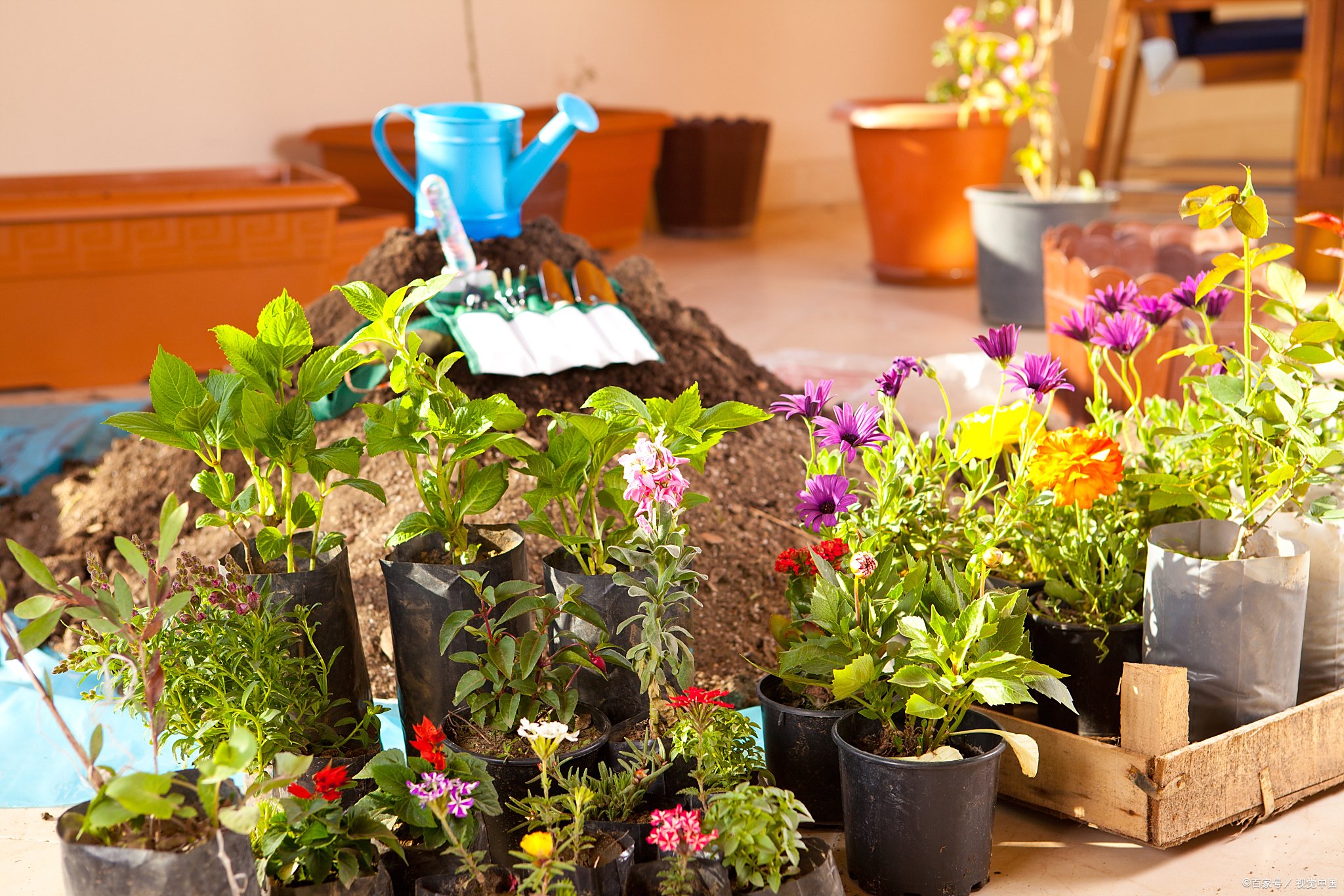 丹东品茶海选喝茶位置推荐 丹东美妙的品茶地点大全