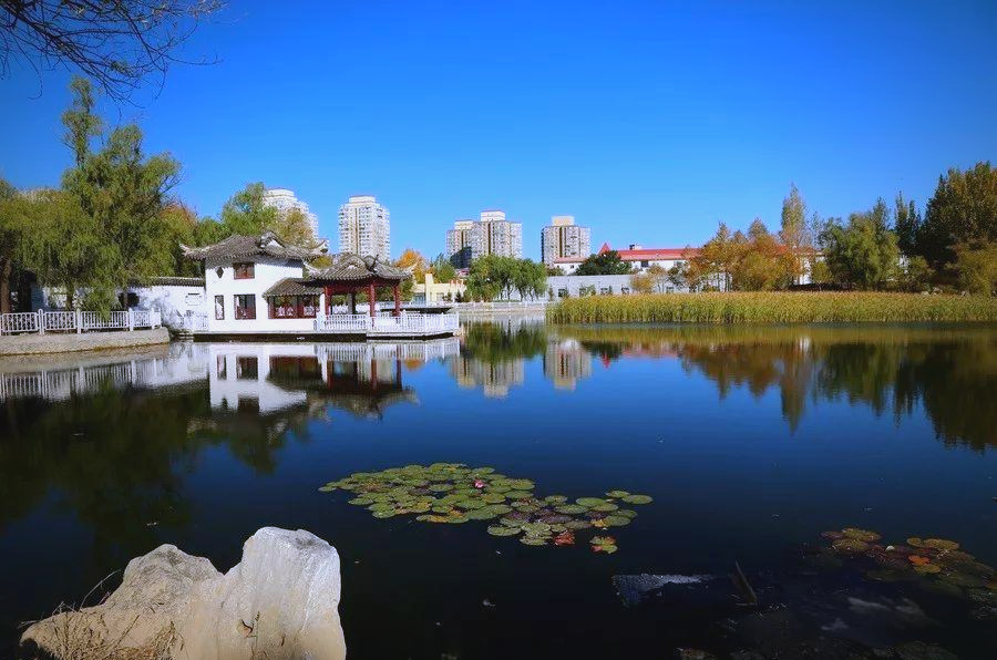 大庆全国空降同城服务全解析 国庆阅兵式观后感高手来吖