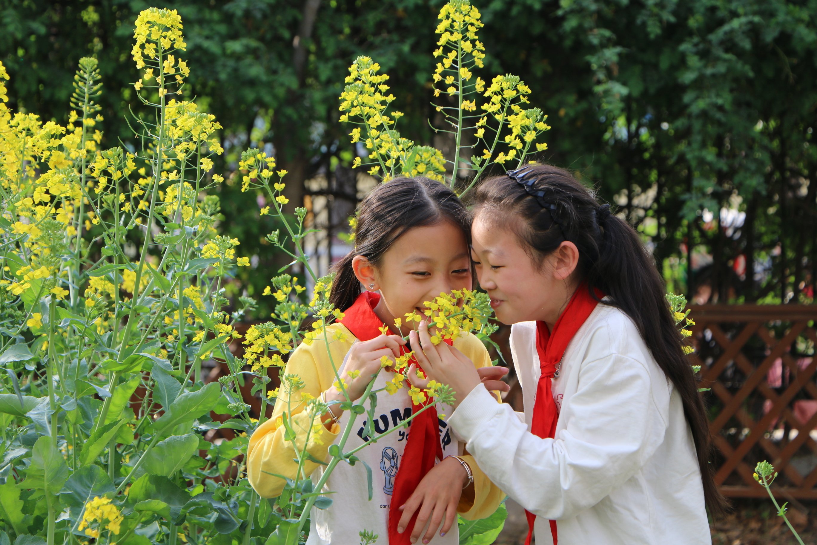 重大事故揭秘：江苏南京一品寻花哪里才能找到靠谱信息