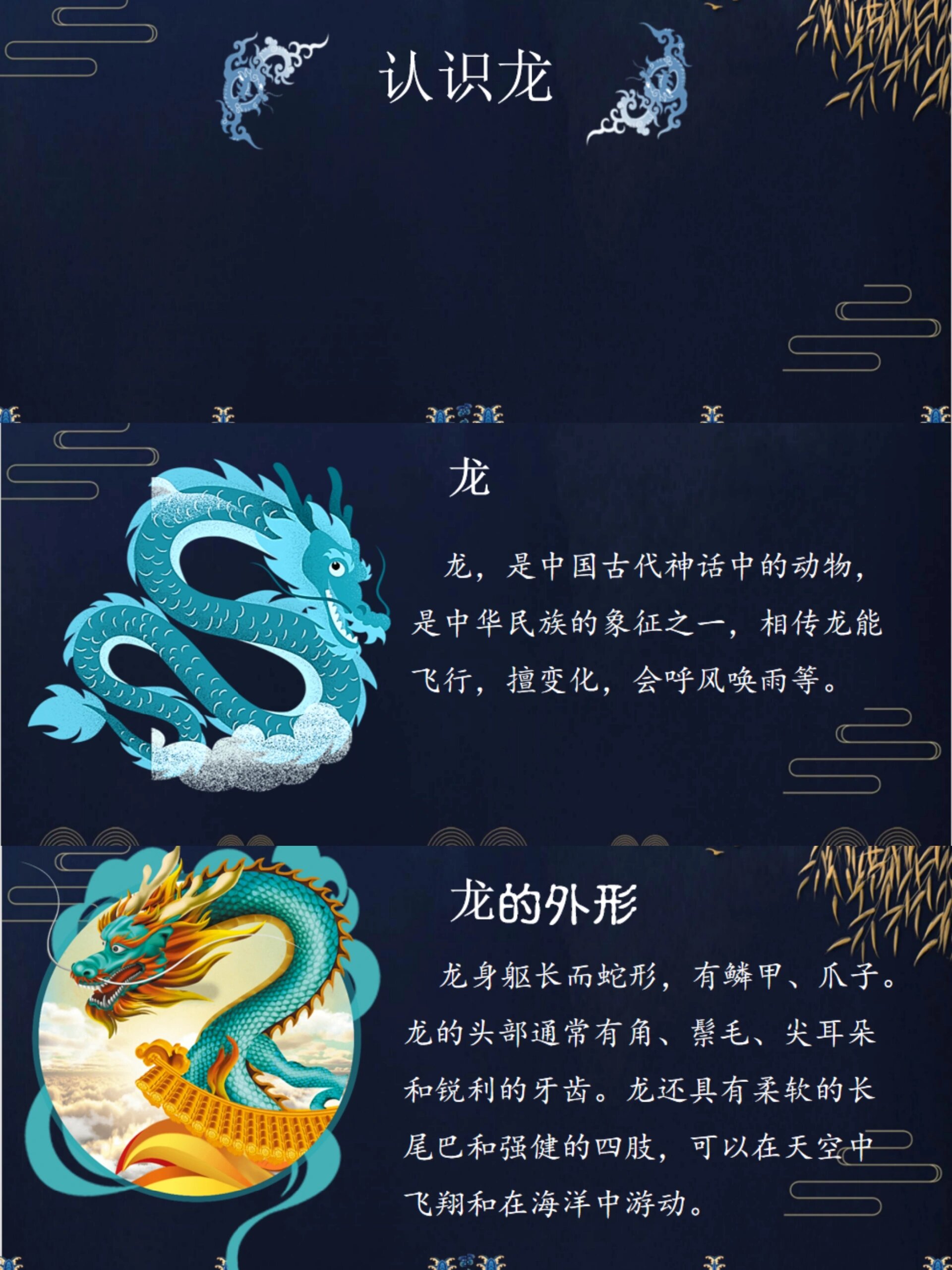 一条龙服务全解析：商业术语中的完整性与效率揭秘