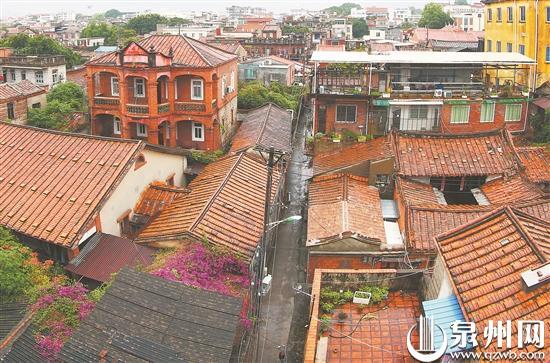 哈尔滨学院路小姑娘的青春图鉴，烟火巷陌里的成长故事揭秘