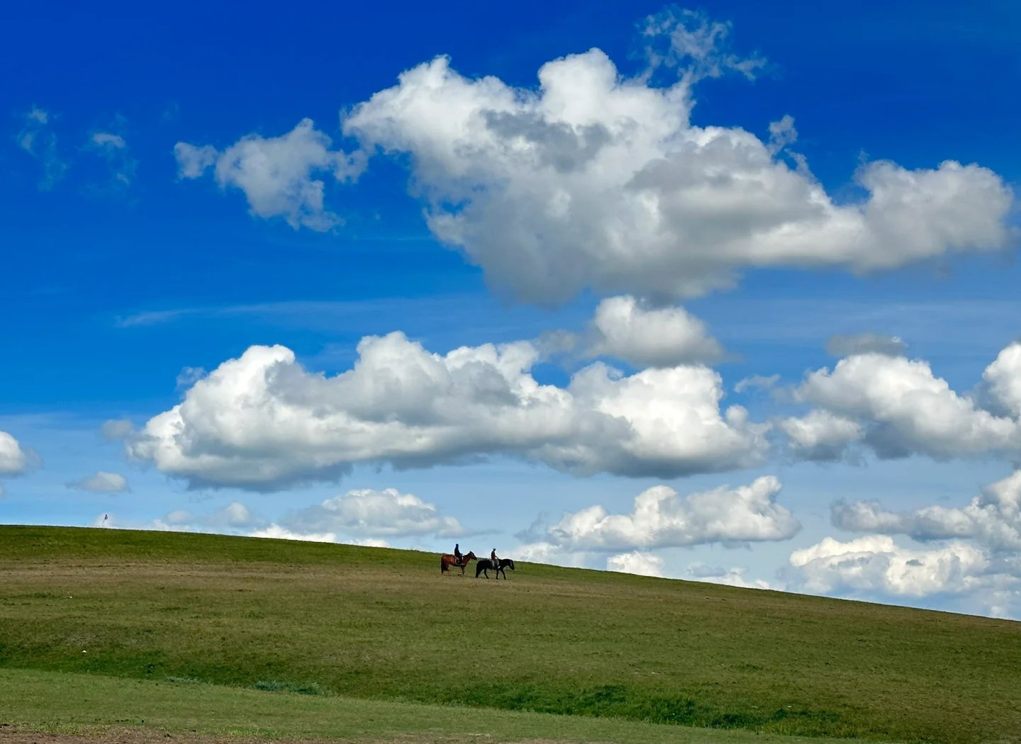 通辽qq上约的800一次是真的吗