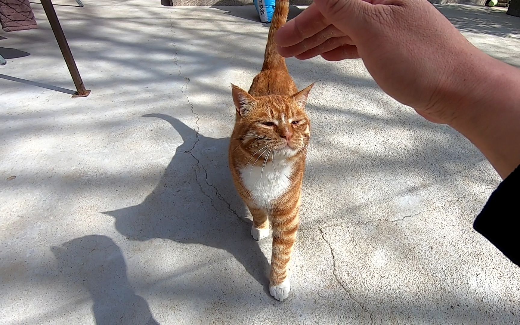 附近学生随叫随到服务全解析