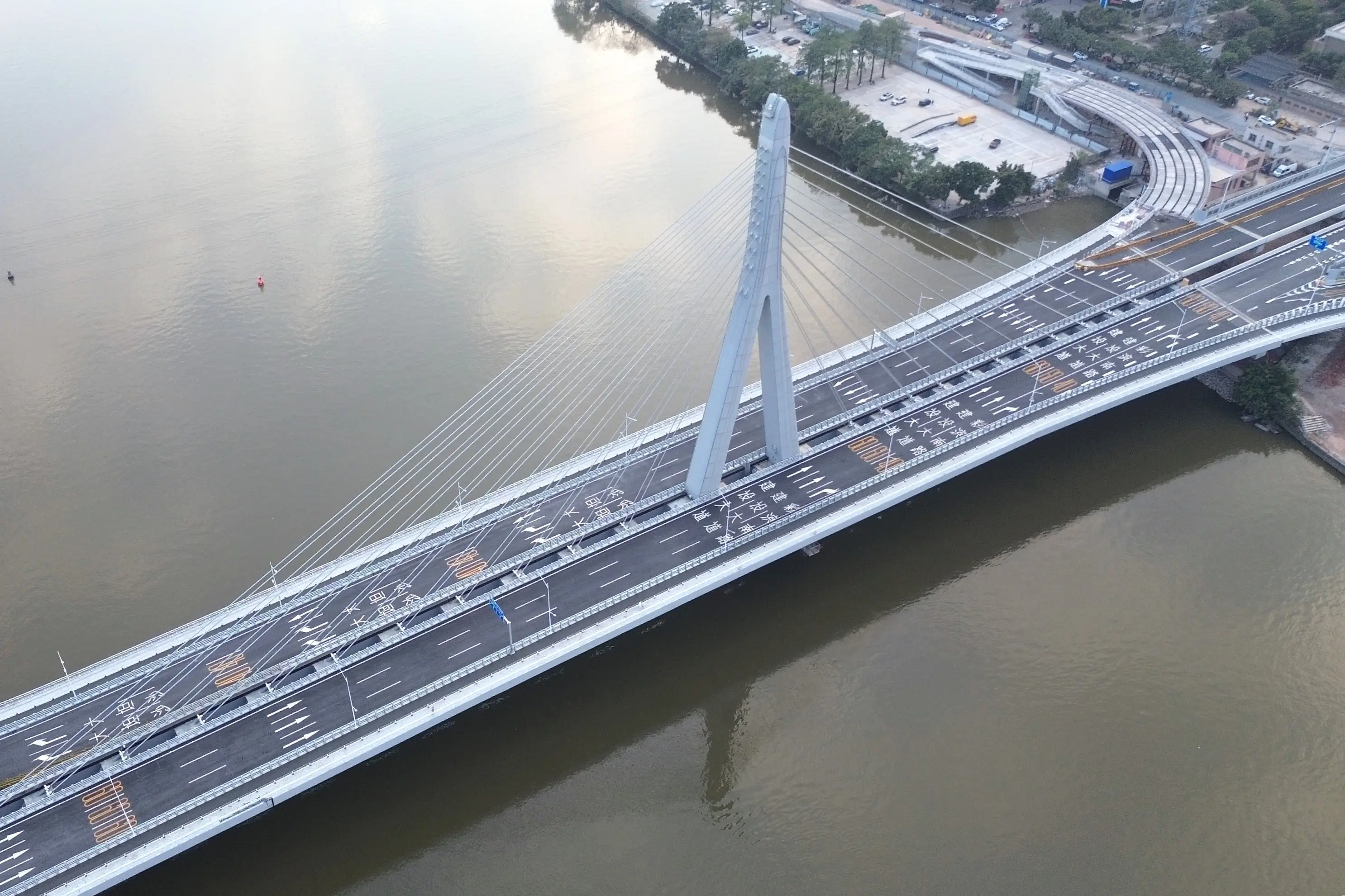 广佛新茶嫩茶wx的品鉴与市场分析,探秘岭南春茶的独特魅力