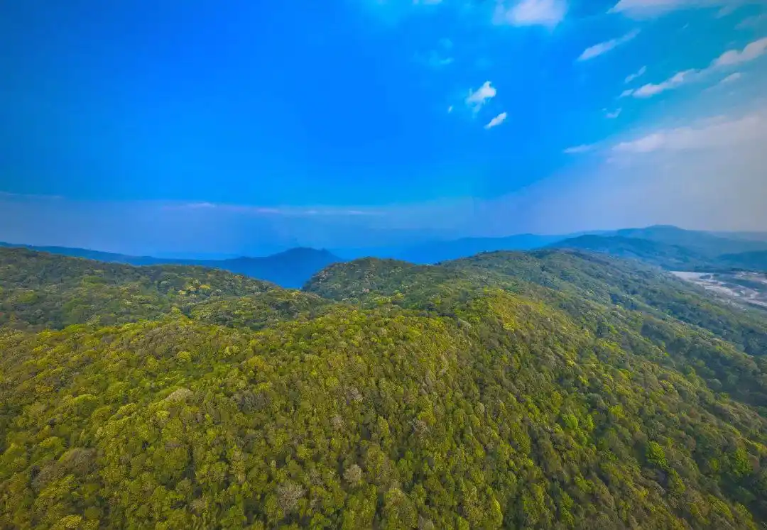 保山哪里的会所有98