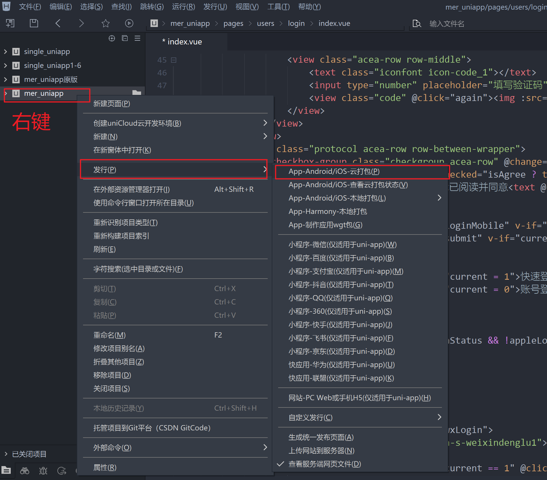 php网站配置教程
