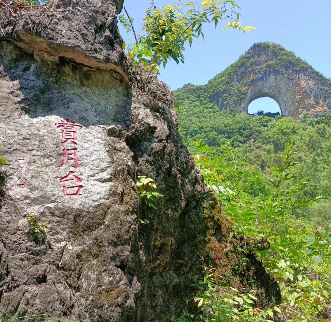 51凤楼探秘 探索这座传奇建筑的前世今生与独特魅力