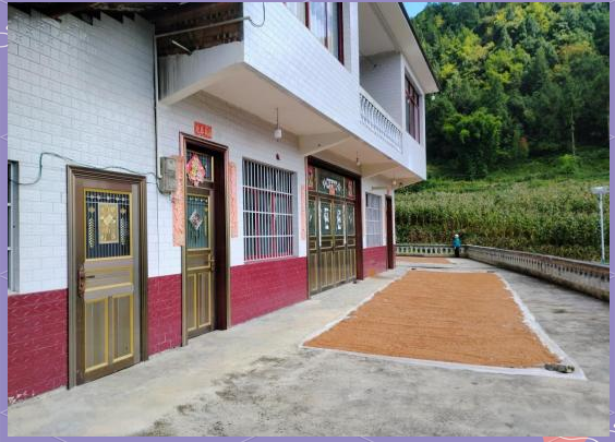 广州龙归夏良小巷子藏着什么？_揭秘城中村30年变迁与生存智慧