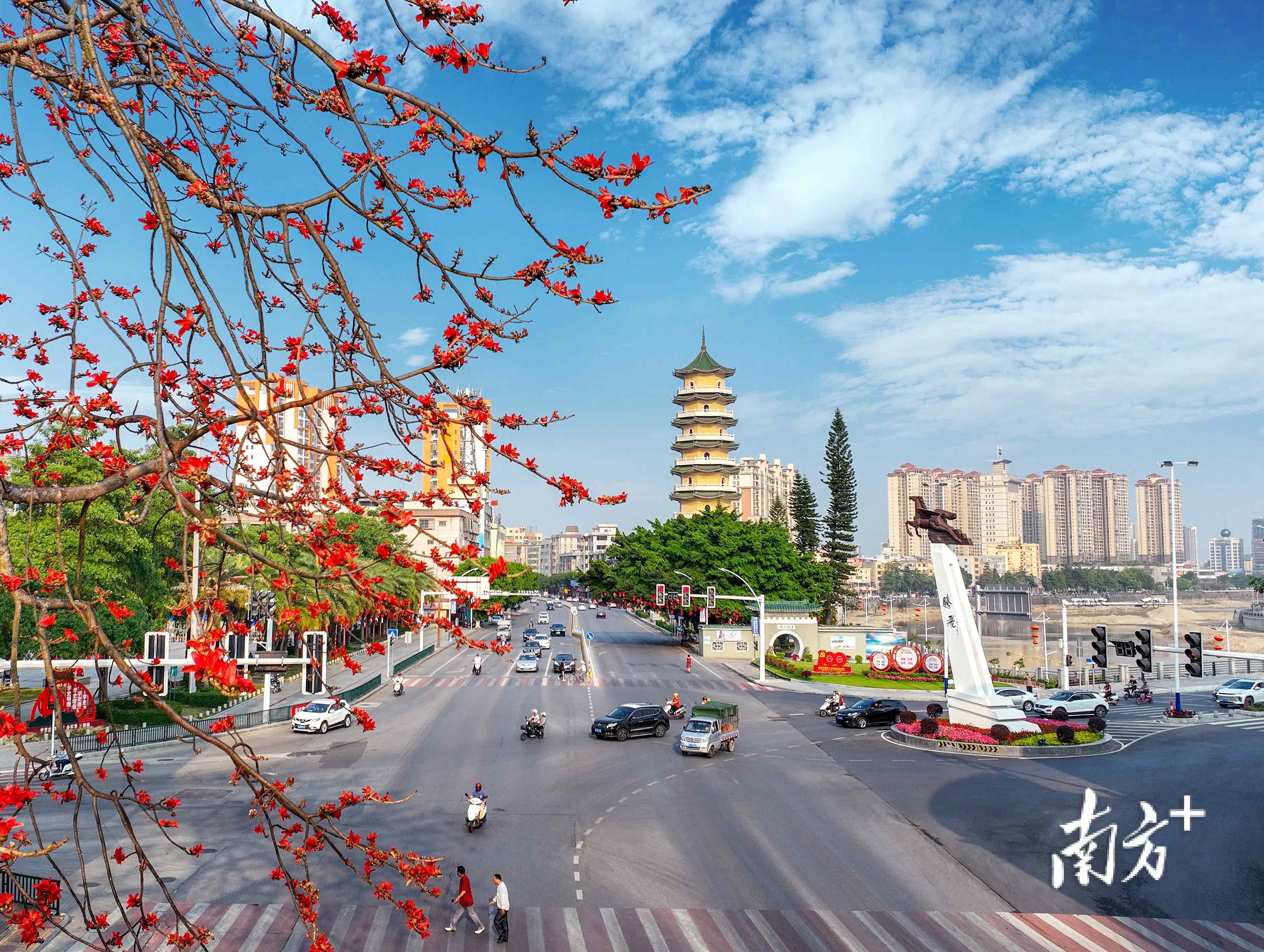 恩平精油开背都会送飞机吗