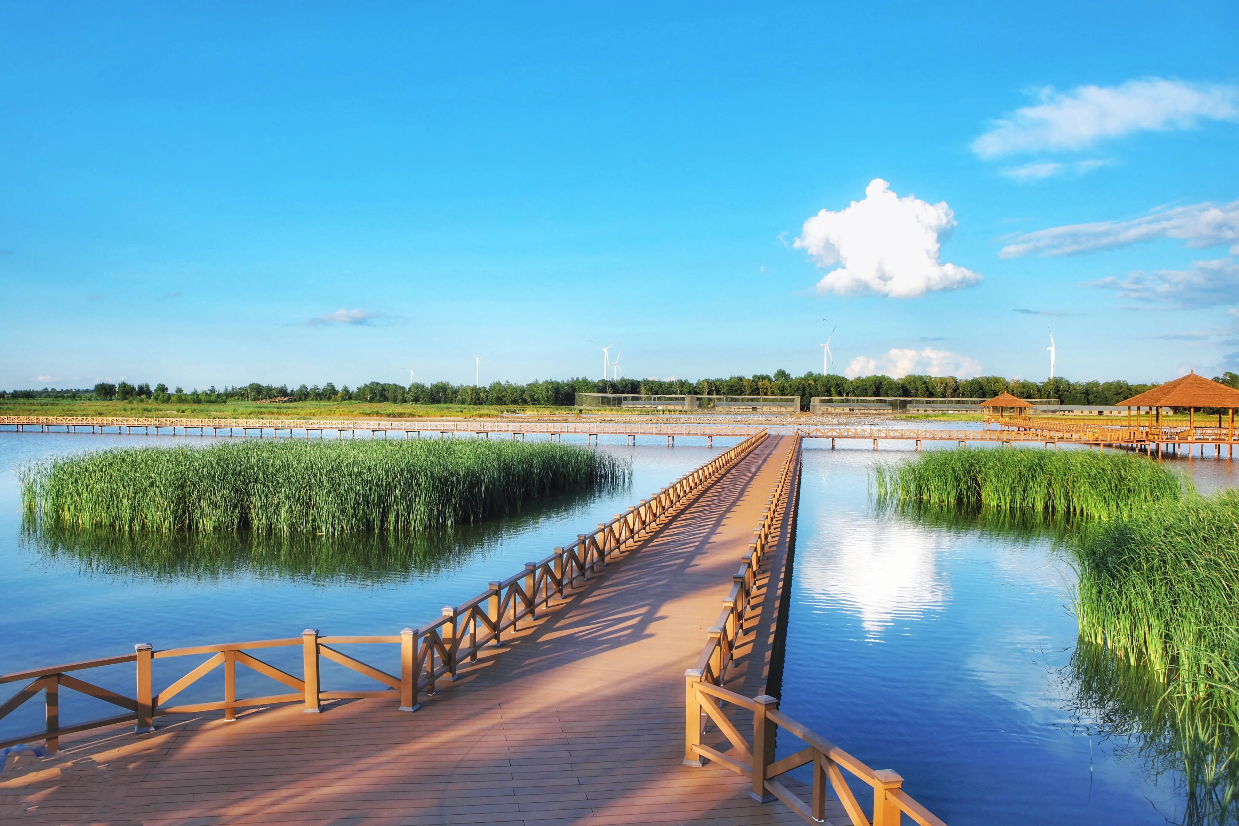 吉林怎么在一个城市找服务