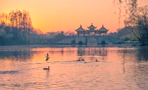 泰安去酒店房间对暗号