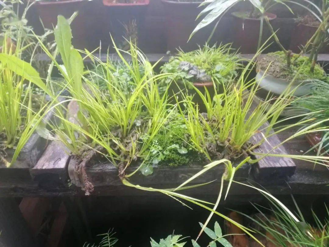 紧急通知：蒲友交流论坛如何找到最新地址及安全使用技巧