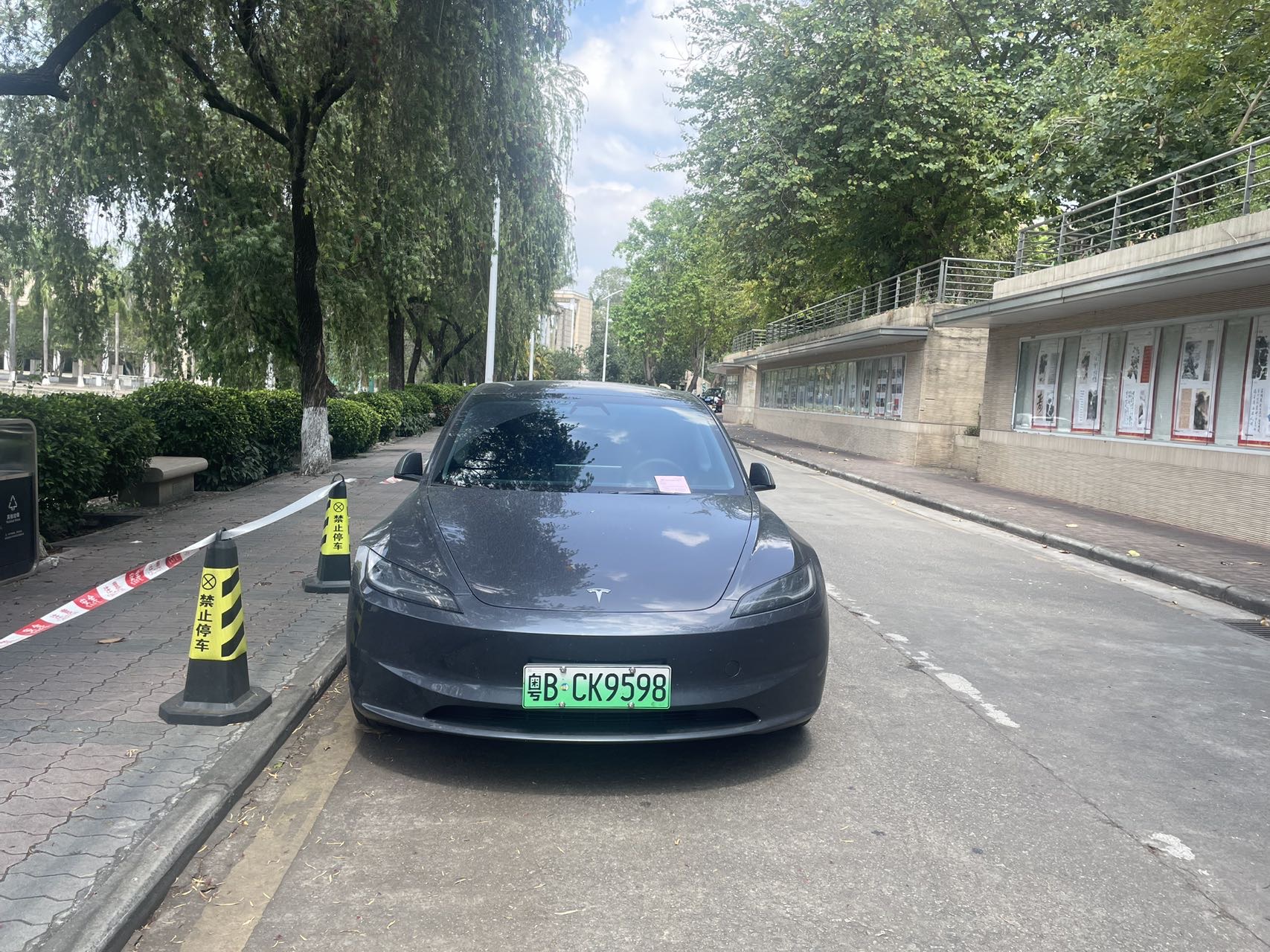 广州番禺9598水汇：水岸生活的现代诠释与台风后的城市韧性