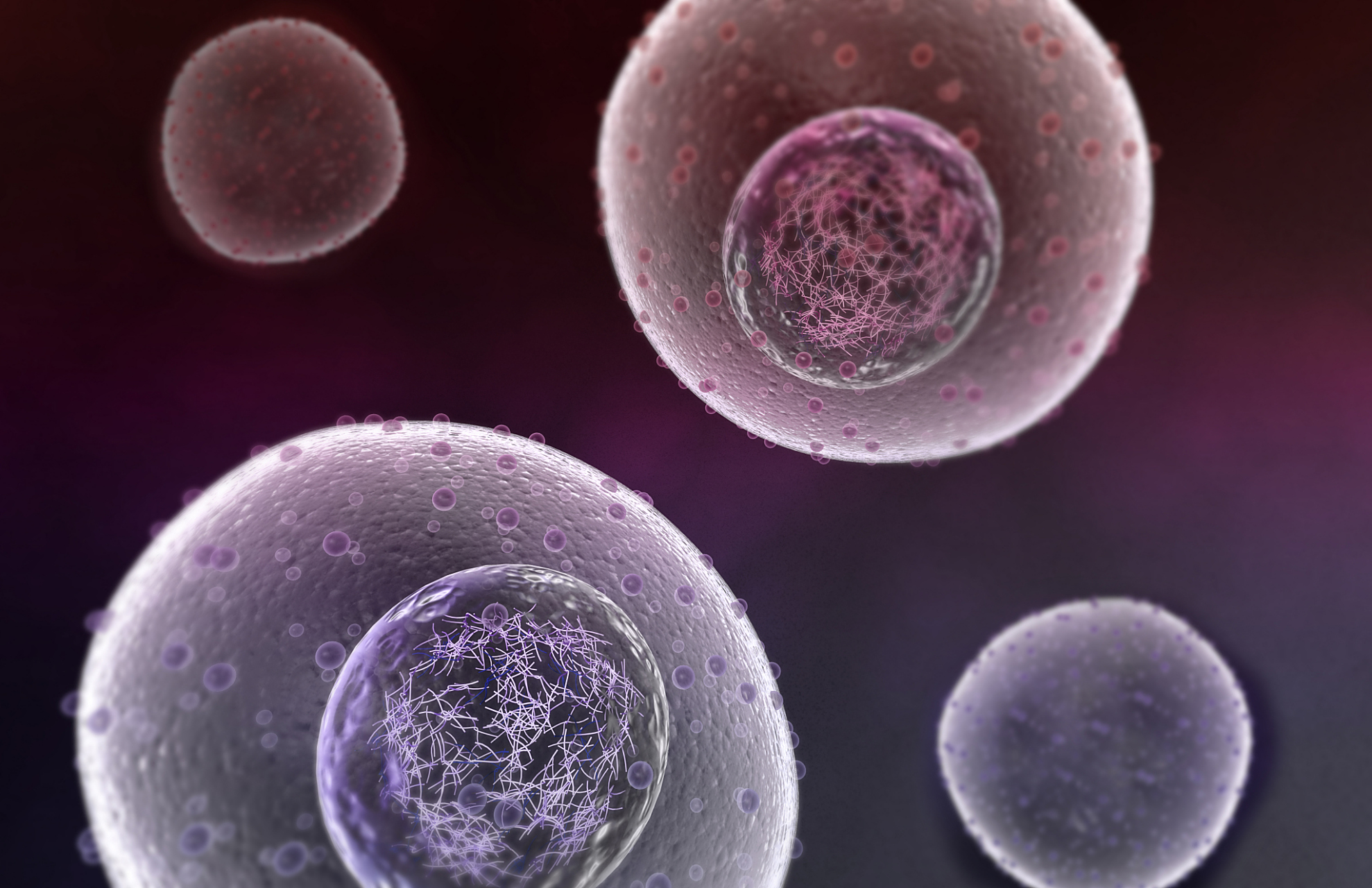 SP玩法全解析：从基础概念到高阶应用指南