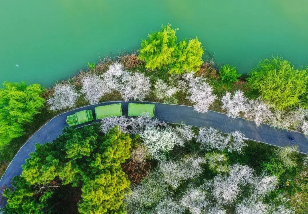 池州怎么跟宾馆前台要求特殊服务的实用技巧与周边旅游推荐