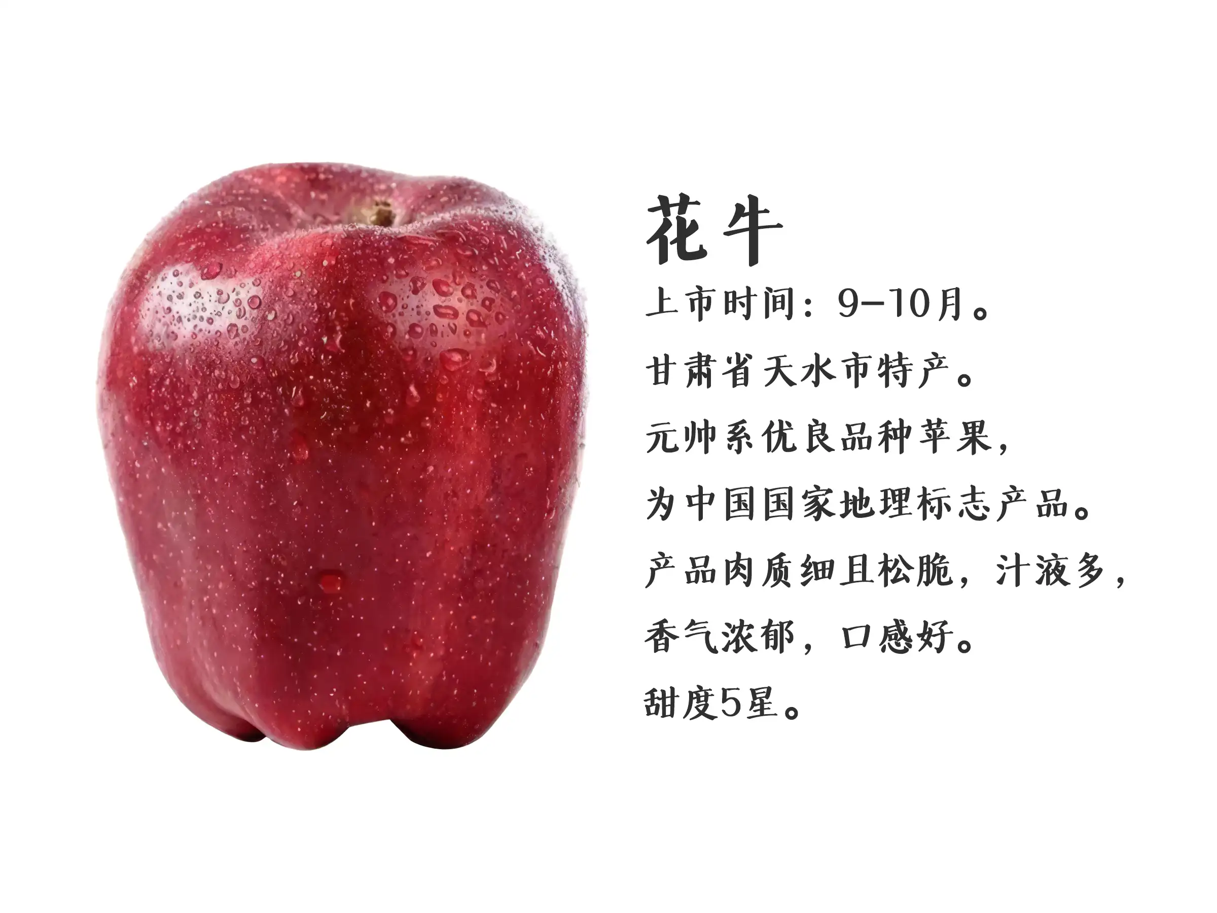 苹果系统下载指南 不同设备如何获取官方系统