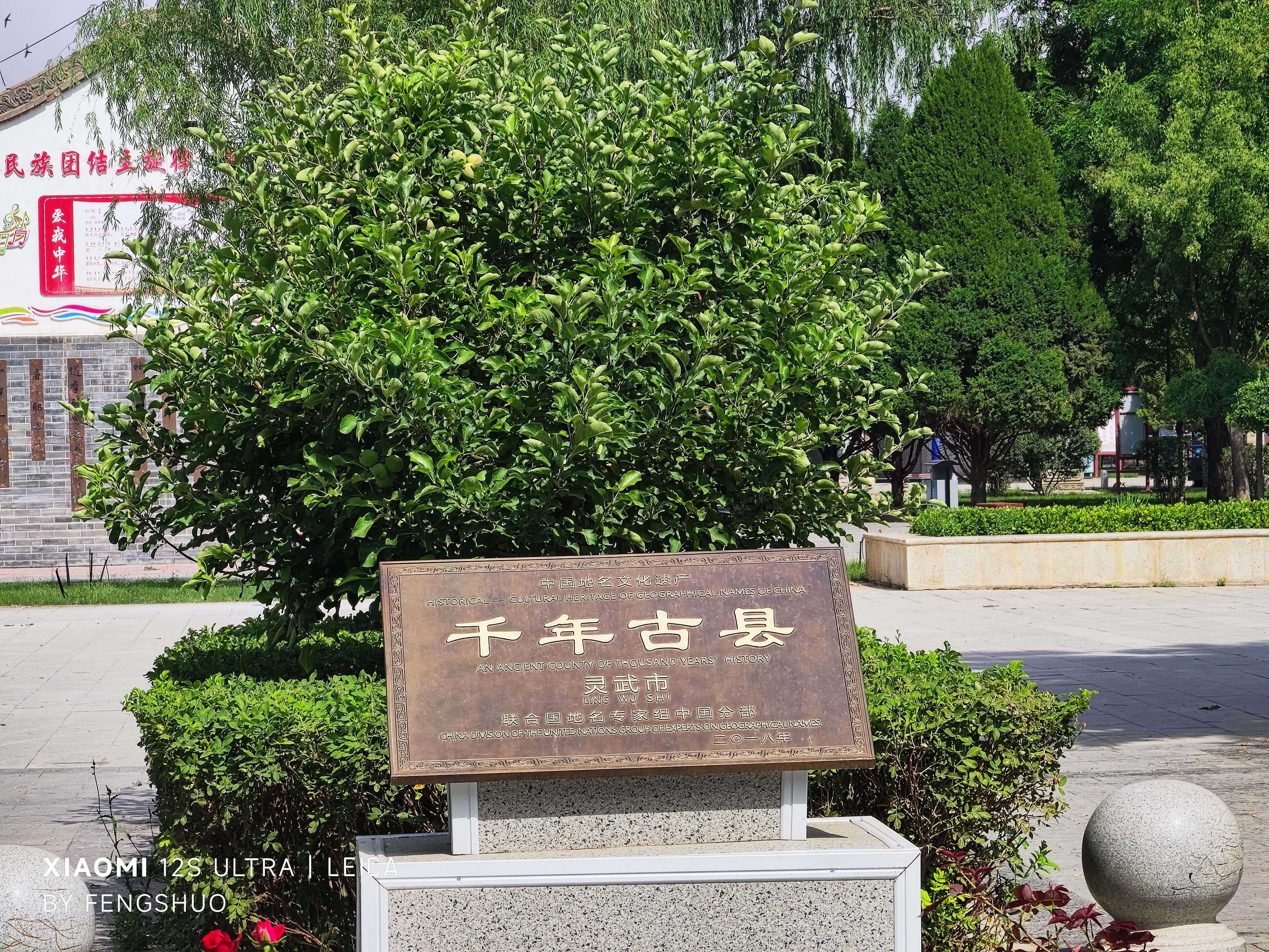 宁夏灵武北门妹子究竟有什么特别之处？