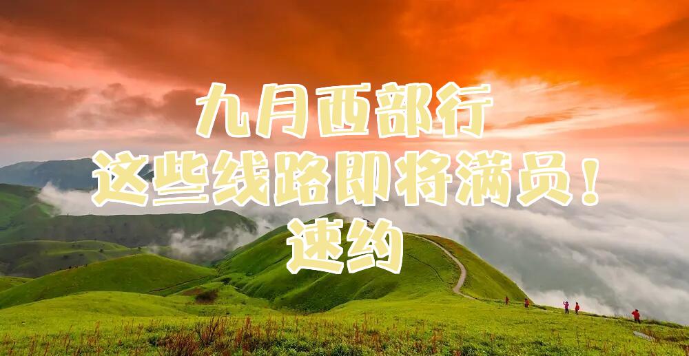 速约到家APP究竟能帮你解决哪些生活难题？