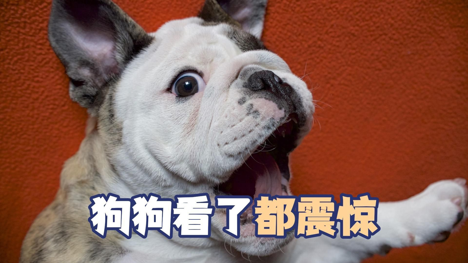 令人震惊的消息：武汉江夏梁山头挆饼子