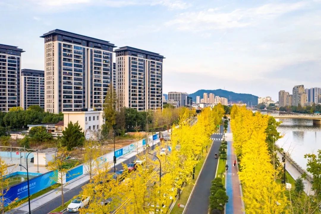 马溪市场暗语破解指南：150条行话省70%沟通成本秘笈